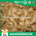 hot sale high quality air dried ginger